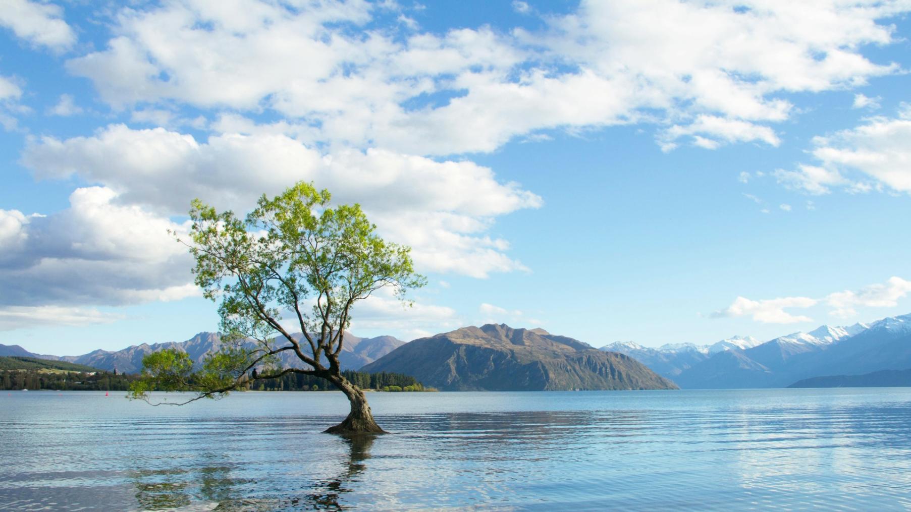 Flexible learning environment