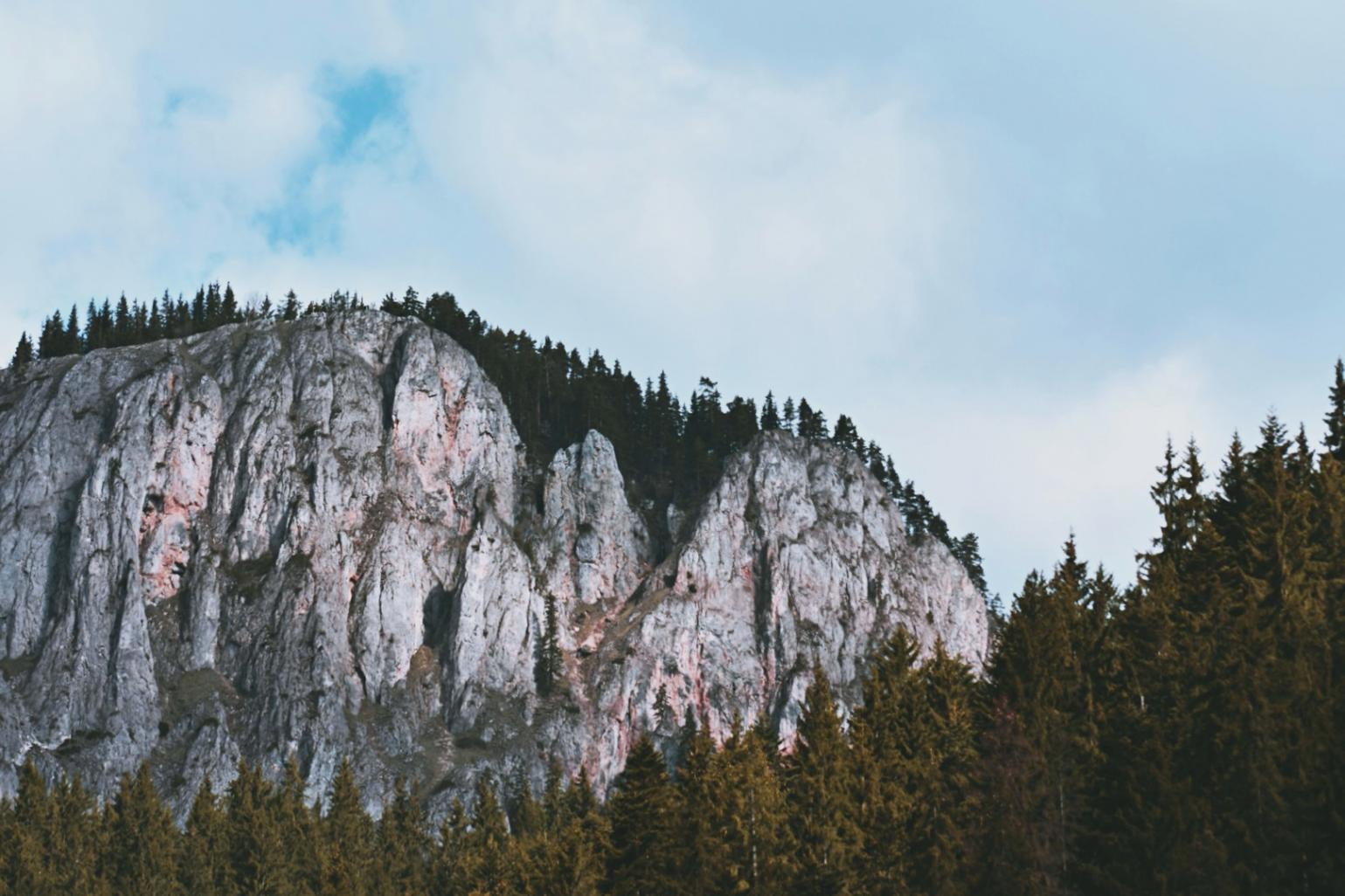 Learning platform interface and resources