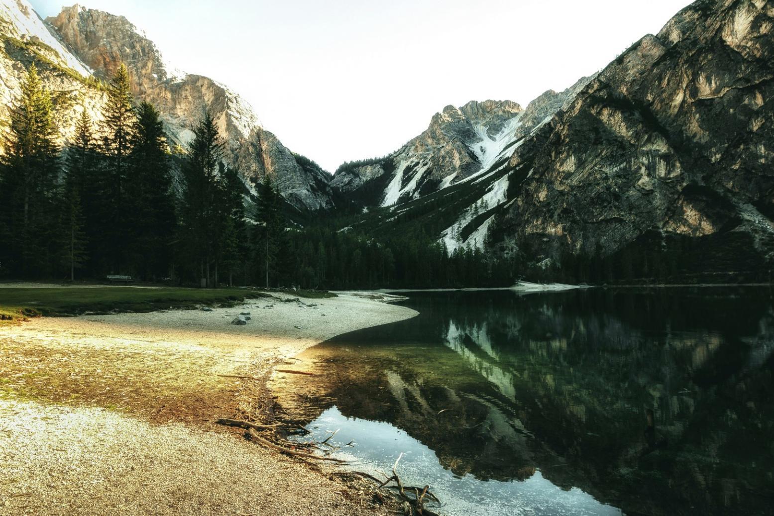 Group tour coordination training environment